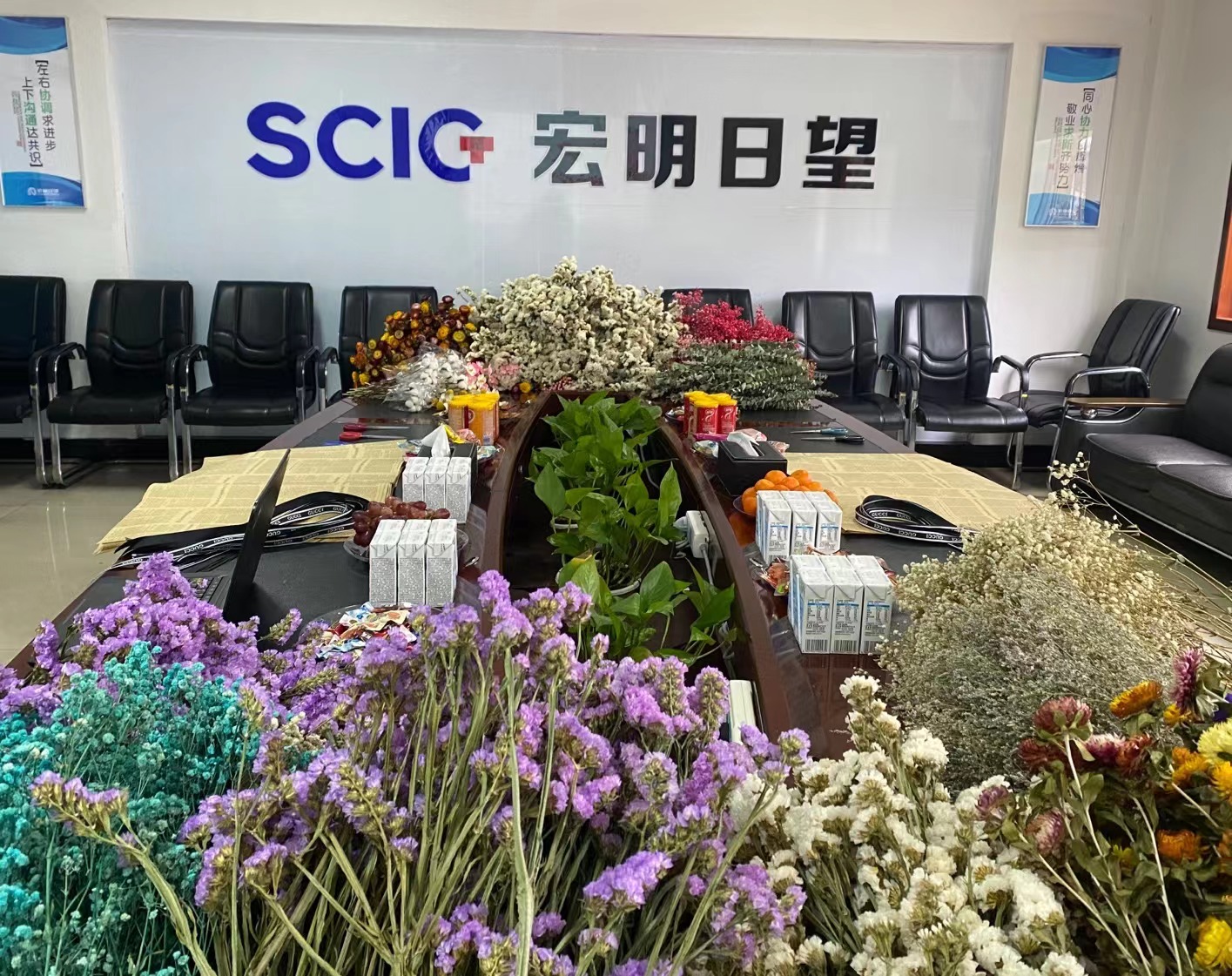 DUOBAO.COM,宏明日望,株洲电子科技,湖南电容器,株洲电容器,电容器